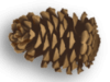 Captcha image 2096