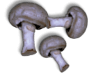 Captcha image 2475